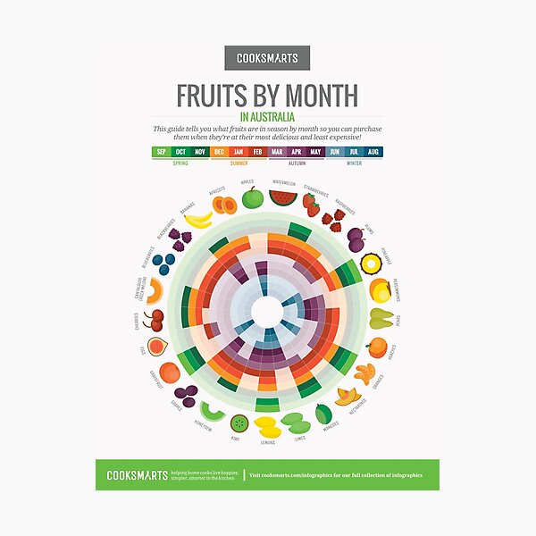 Cook Smarts' Fruits by the Month Guide (Australia) Photographic Print