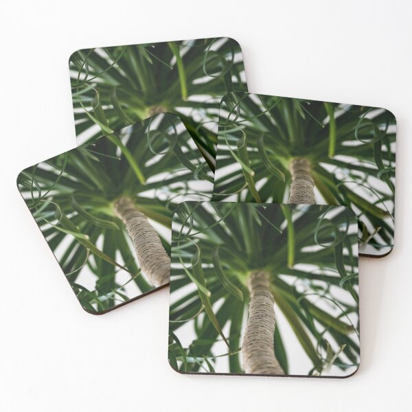Item preview, Aesthetic Home Plant Design designed and sold by pixelsbykshiti.