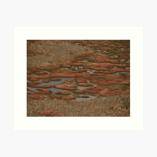 Karukinka peat bog Art Print