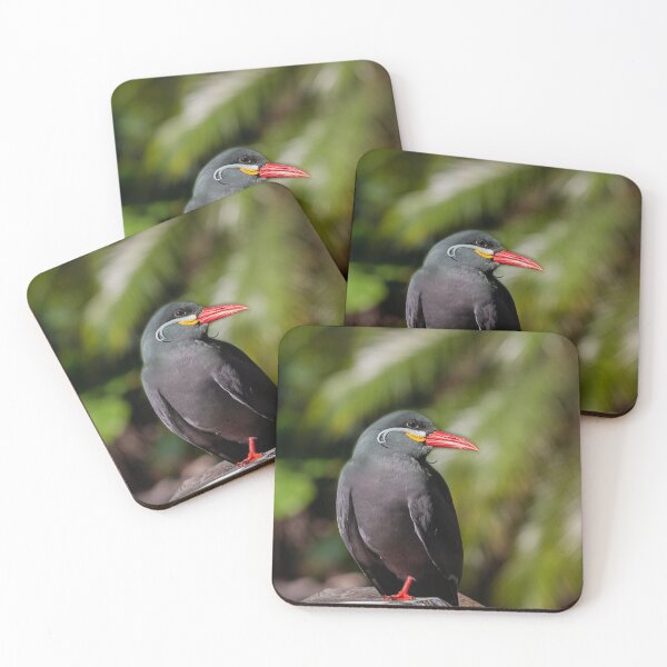 Item preview, South American Inca Tern designed and sold by KbytesOfJax Outdoor and Nature.