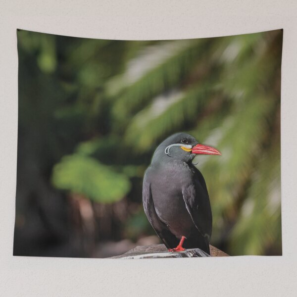 Item preview, South American Inca Tern designed and sold by KbytesOfJax Outdoor and Nature.