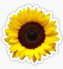 Pegatina Girasol