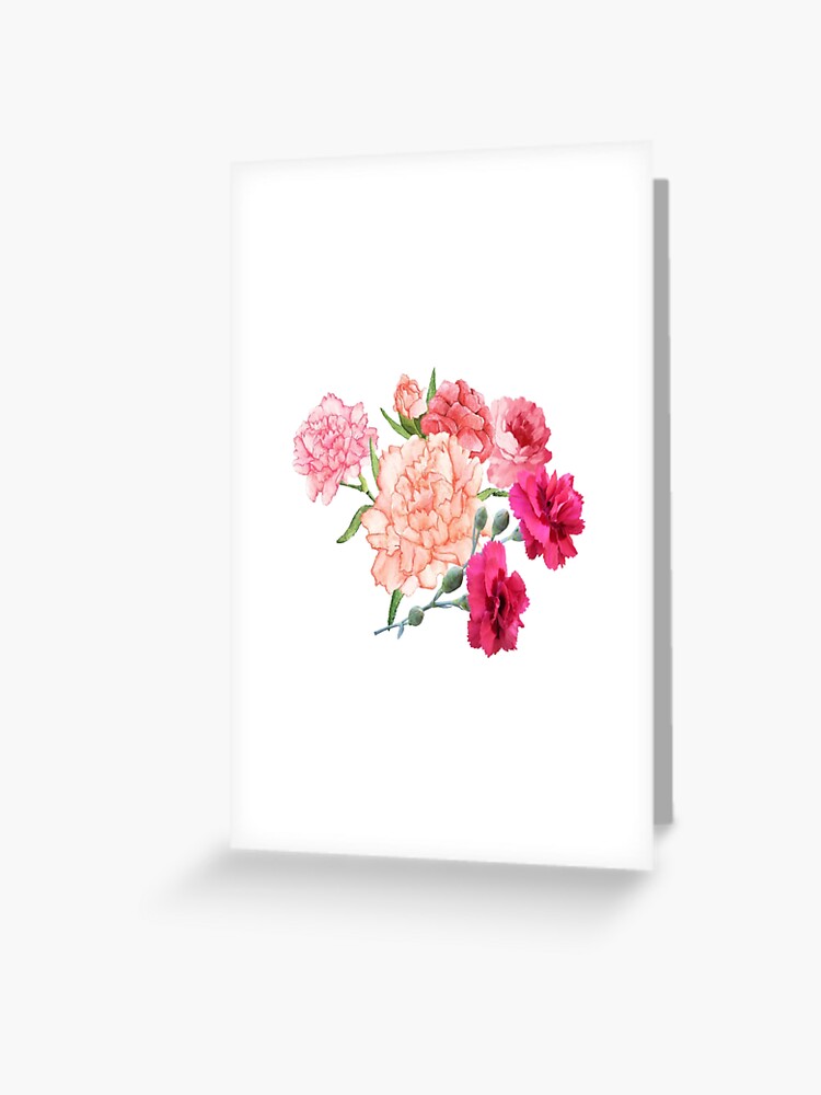 Carnation flowers Greeting Card for Sale by katystore