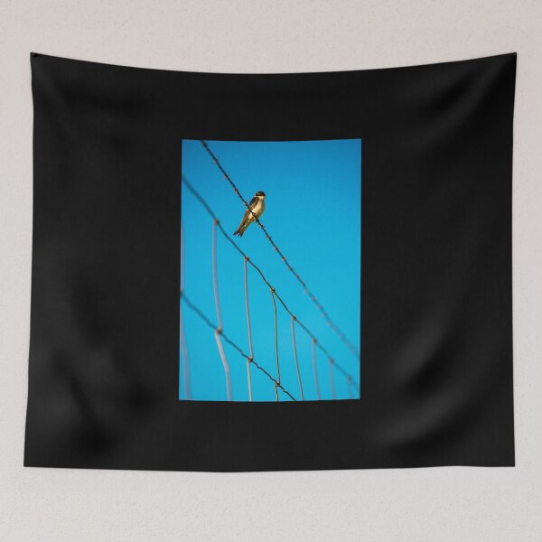 Aperçu de l'œuvre Oiseau et ciel bleu créée et vendue par KellyHeaton.