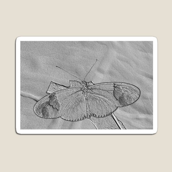 Item preview, Postman Butterfly designed and sold by LINAJAMISON.