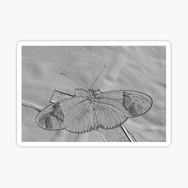 Item preview, Postman Butterfly designed and sold by LINAJAMISON.