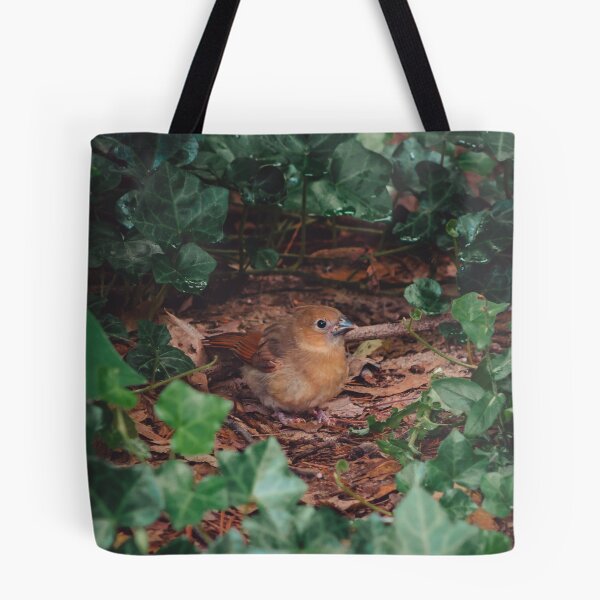 Item preview, Cardinal Fledgling resting near a bush designed and sold by Michael Deemer.
