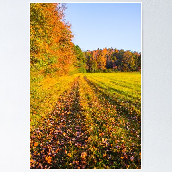 Item preview, Autumn Harvest  designed and sold by Parker Cunningham.