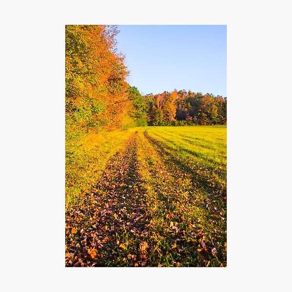 Item preview, Autumn Harvest  designed and sold by Parker Cunningham.