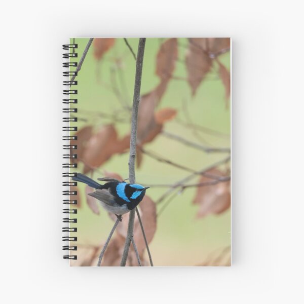 Item preview, LITTLE BLUE FAIRY WREN #2 designed and sold by Dana Fatchen.