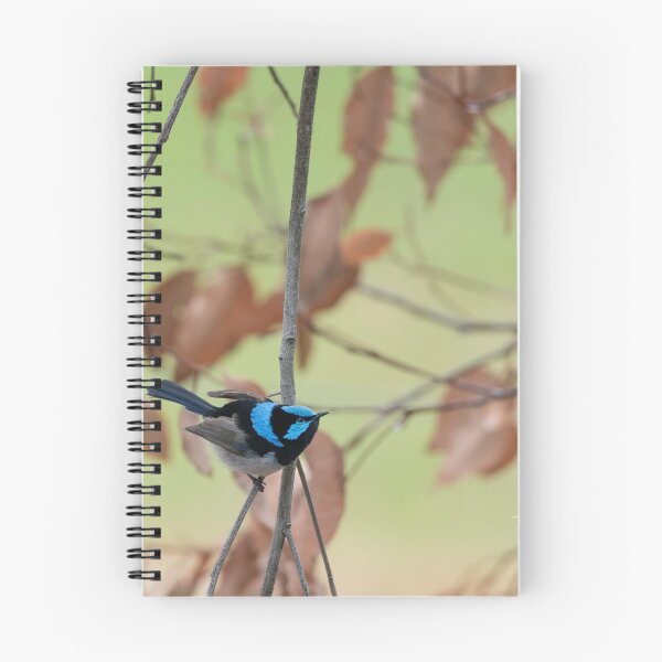 Item preview, LITTLE BLUE FAIRY WREN #2 designed and sold by Dana Fatchen.