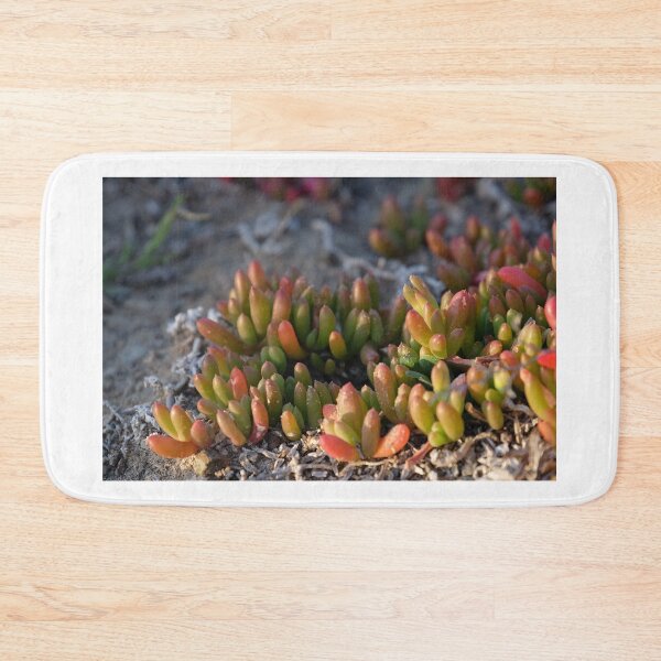 Item preview, Penneshaw succulent designed and sold by Goggleboy Designs.