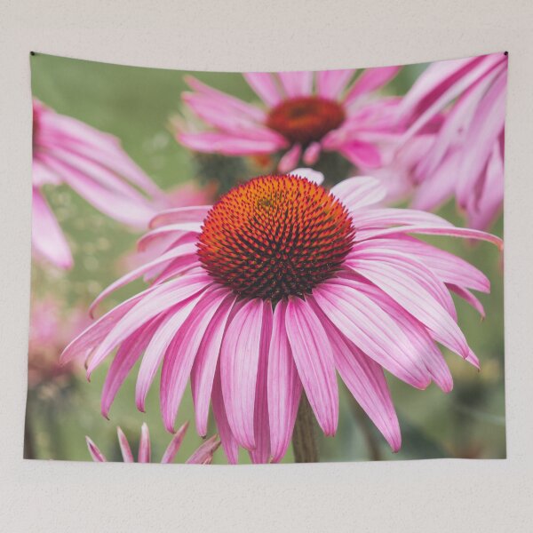 Item preview, Purple coneflower in bloom in a garden designed and sold by Michael Deemer.