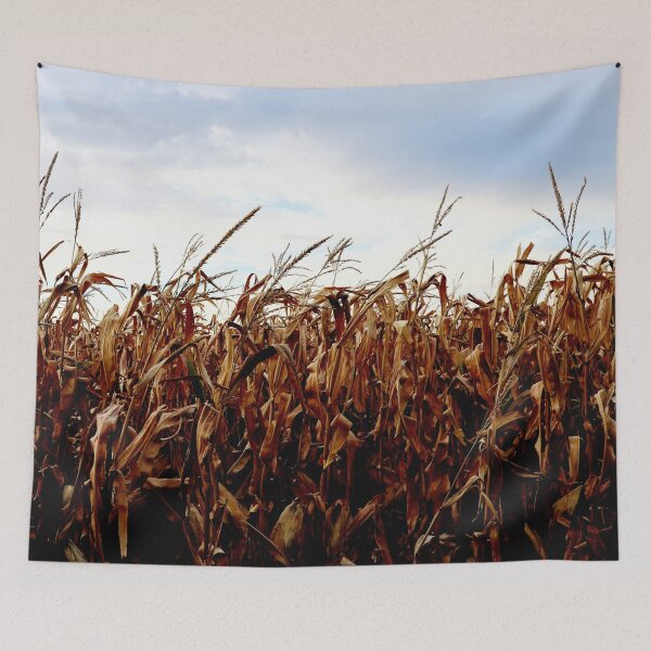 Item preview, Dried corn field designed and sold by Michaelerch.