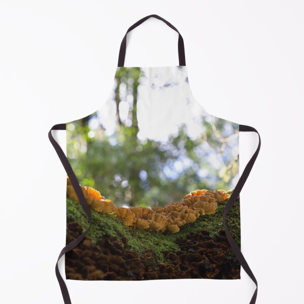 Item preview, Mushroom Sunlight designed and sold by Cosmic Fox Photography.
