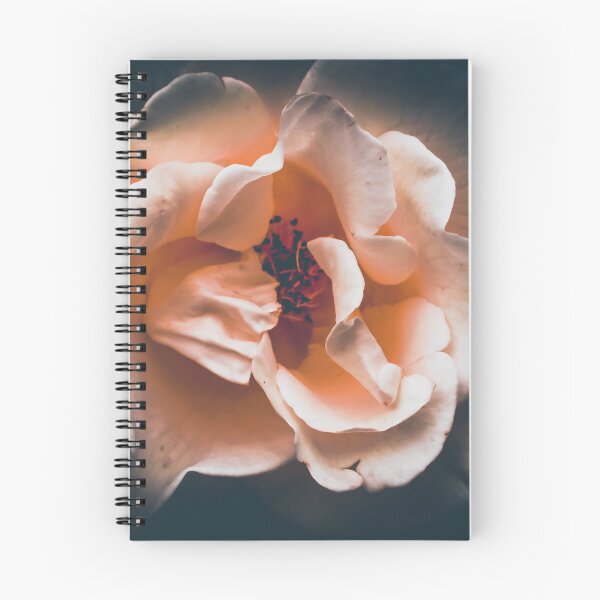 Item preview, Rose designed and sold by kasthu.