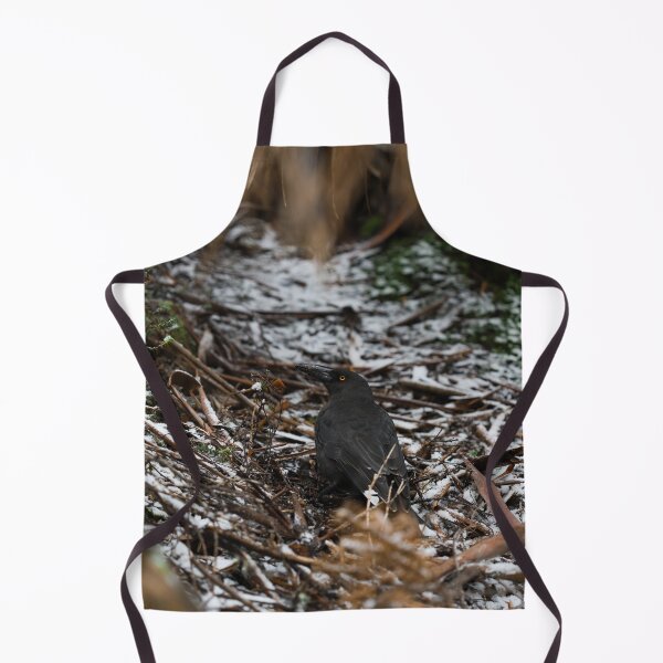 Item preview, Currawong Bird designed and sold by Cosmic Fox Photography.