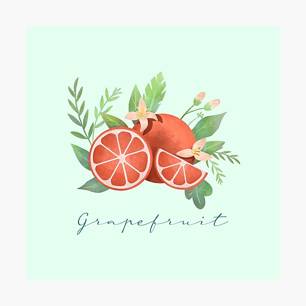Item preview, Foodies grapefruit designed and sold by Ddongle.