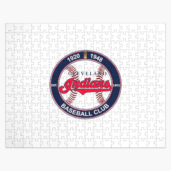 Baseball Jigsaw Puzzle