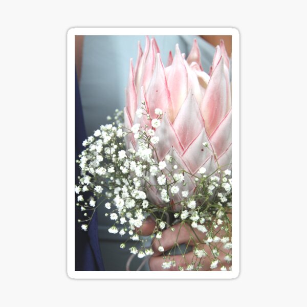 Item preview, King Protea designed and sold by Fox-Hound.