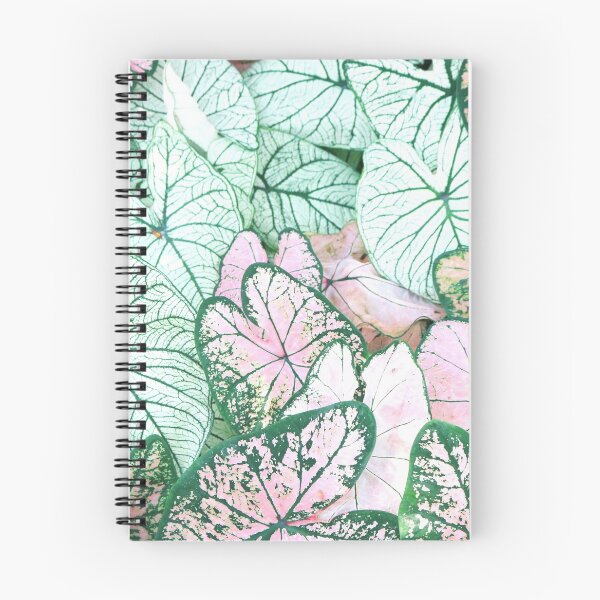 Item preview, Caladium designed and sold by Berry Pink.