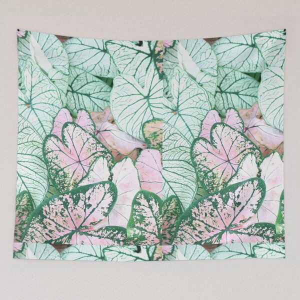 Item preview, Caladium designed and sold by Berry Pink.