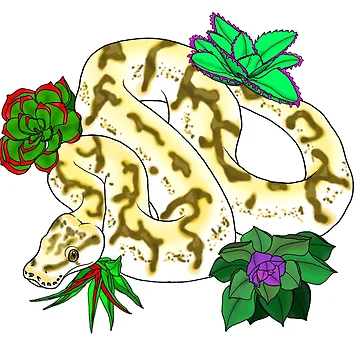 Artwork thumbnail, Calibee Ball Python by TinkerandBone