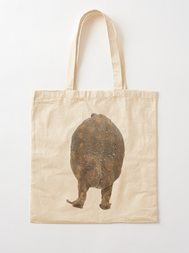Sac Fourre-tout Femme Toile Grenouille - Grand Modèle 39x34 Cm, Réutilisable Pour école Et Shopping
