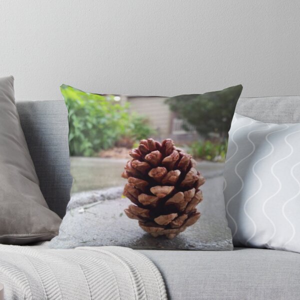 Item preview, Pine Cone on Sidewalk designed and sold by paintedviolin.