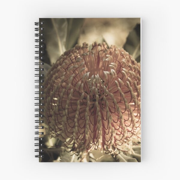 Item preview, Aged Banksia designed and sold by Michelle Cocking.