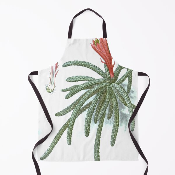 Item preview, Rat Tail Cactus designed and sold by redoARTstore.