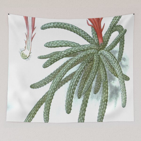 Item preview, Rat Tail Cactus designed and sold by redoARTstore.