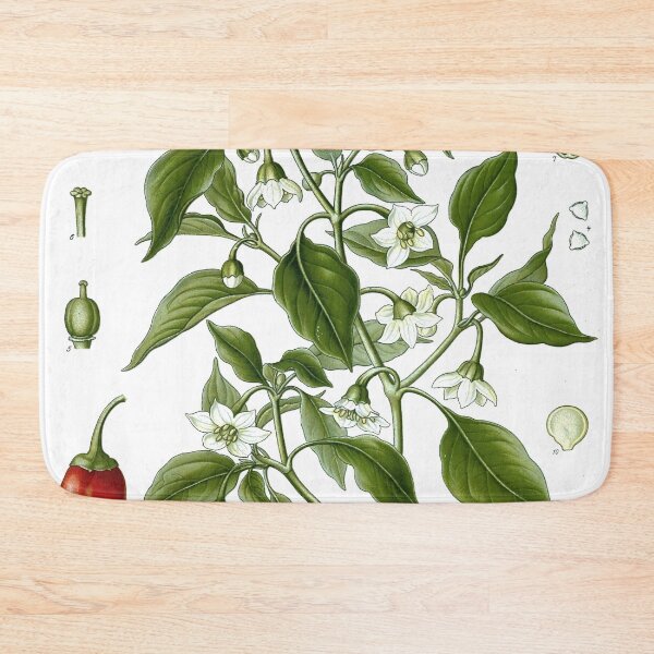 Item preview, Chili Pepper - Capsicum Annuum  designed and sold by redoARTstore.