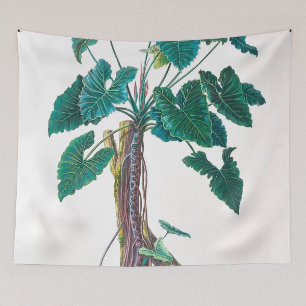 Item preview, Philondendron Speciosum designed and sold by redoARTstore.