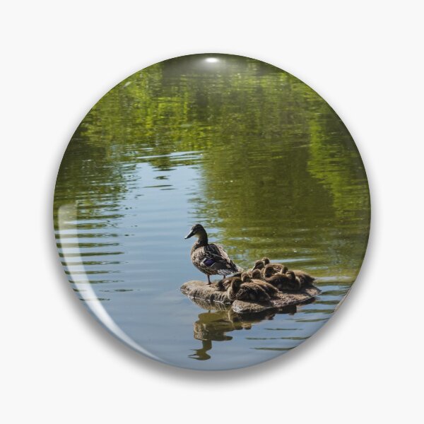 Item preview, Guarding My Sleeping Family - a Mother Duck and Ducklings on the Pond designed and sold by Georgia Mizuleva.