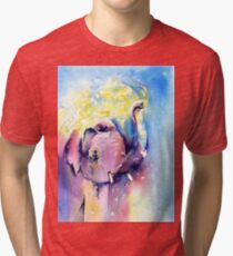 Baby Tri-blend T-Shirt