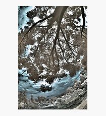 Overhang Photographic Print