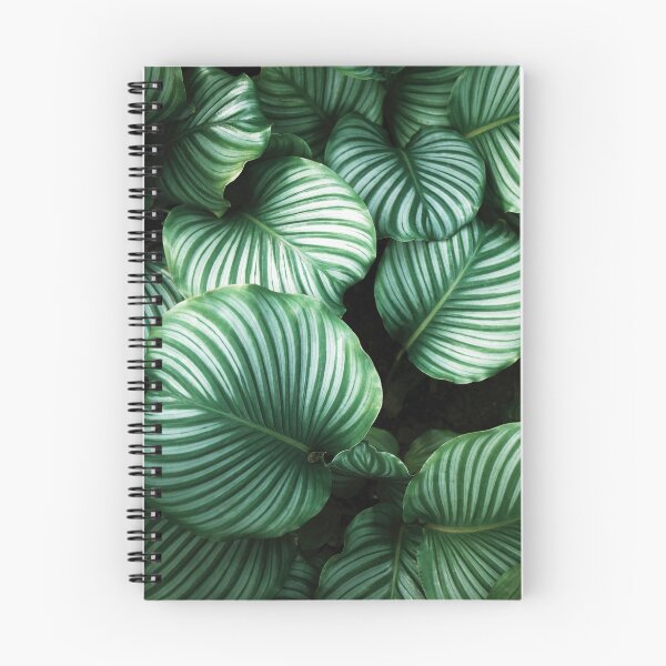 Item preview, Calathea Orbifolia designed and sold by redoARTstore.