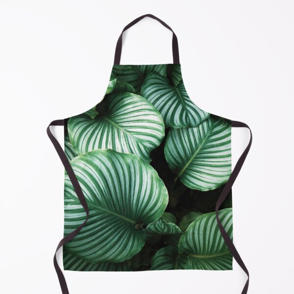 Item preview, Calathea Orbifolia designed and sold by redoARTstore.