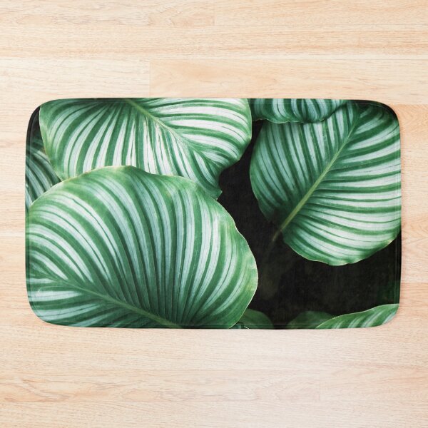 Item preview, Calathea Orbifolia designed and sold by redoARTstore.