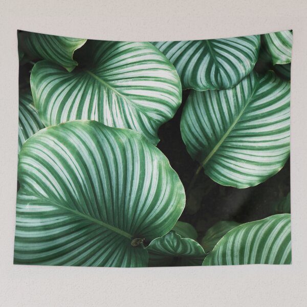 Item preview, Calathea Orbifolia designed and sold by redoARTstore.