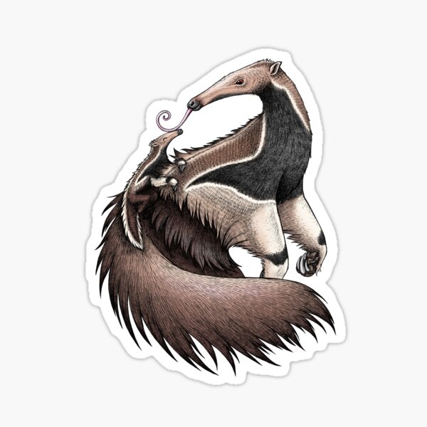 T Pose Anteater Sticker for Sale by AnteaterGuy