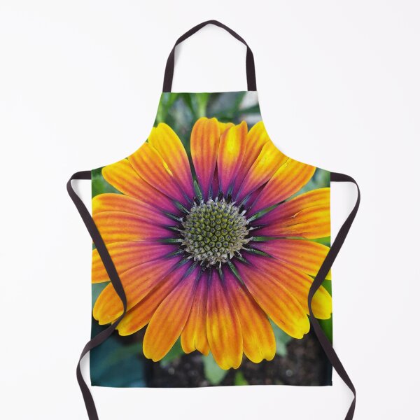 Item preview, Sunset African Daisy designed and sold by TropicalFronds.