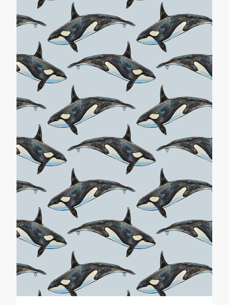 Orca on blue by Artkettu