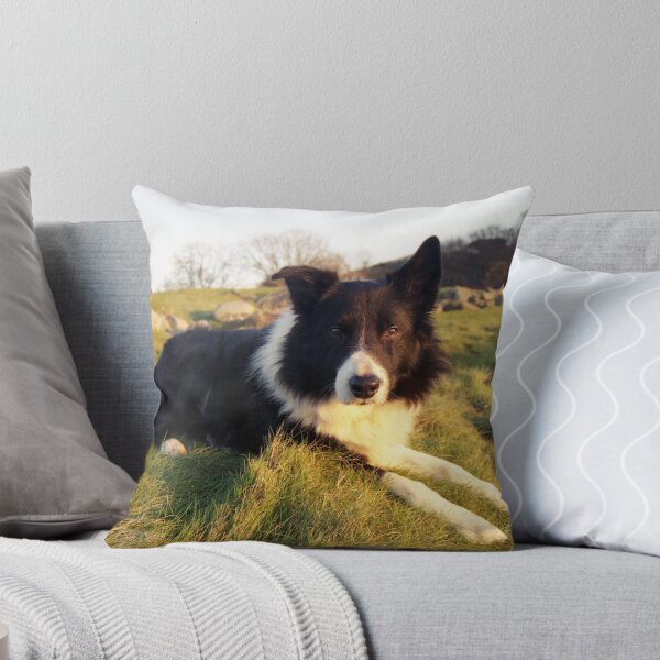 Item preview, Indy at the stream. designed and sold by Michael Haslam.