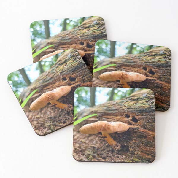 Item preview, Fungi on dead tree designed and sold by jpaul thibaut.