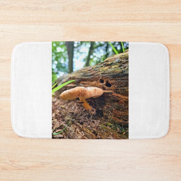 Item preview, Fungi on dead tree designed and sold by jpaul thibaut.
