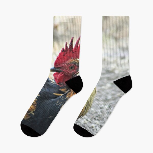 Item preview, Golden Rooster Chicken Bird Portrait designed and sold by worldways.