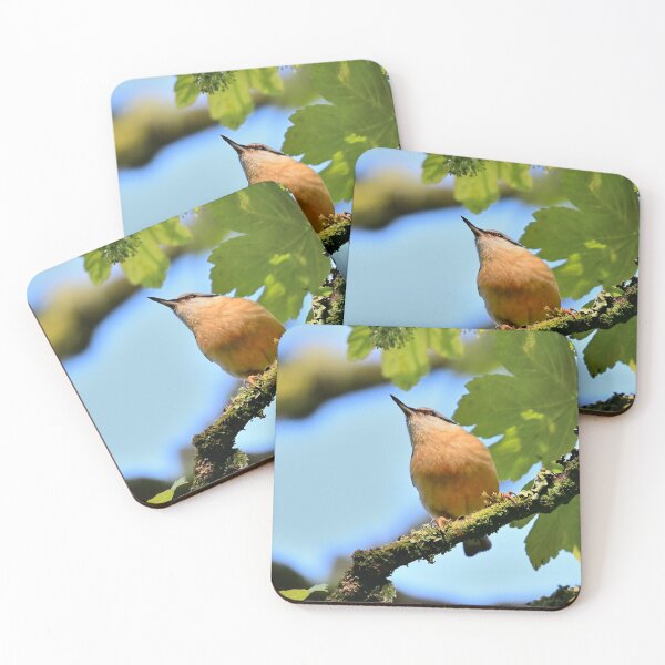 Item preview, Nuthatch in the trees designed and sold by karmardesigns.