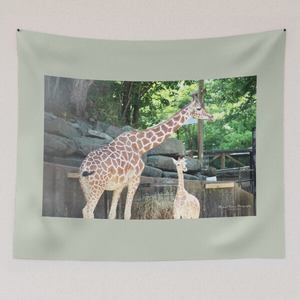 Item preview, Zoo Life  designed and sold by Darlene Boudreaux.